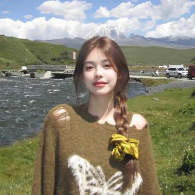 四平警事之钻石大劫案